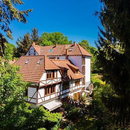 Einliegerwohnung In Einer Muehle Vor Den Toren Frankfurts, Ideal Fuer Messegaeste Oder Stop Over Dreieich Luaran gambar