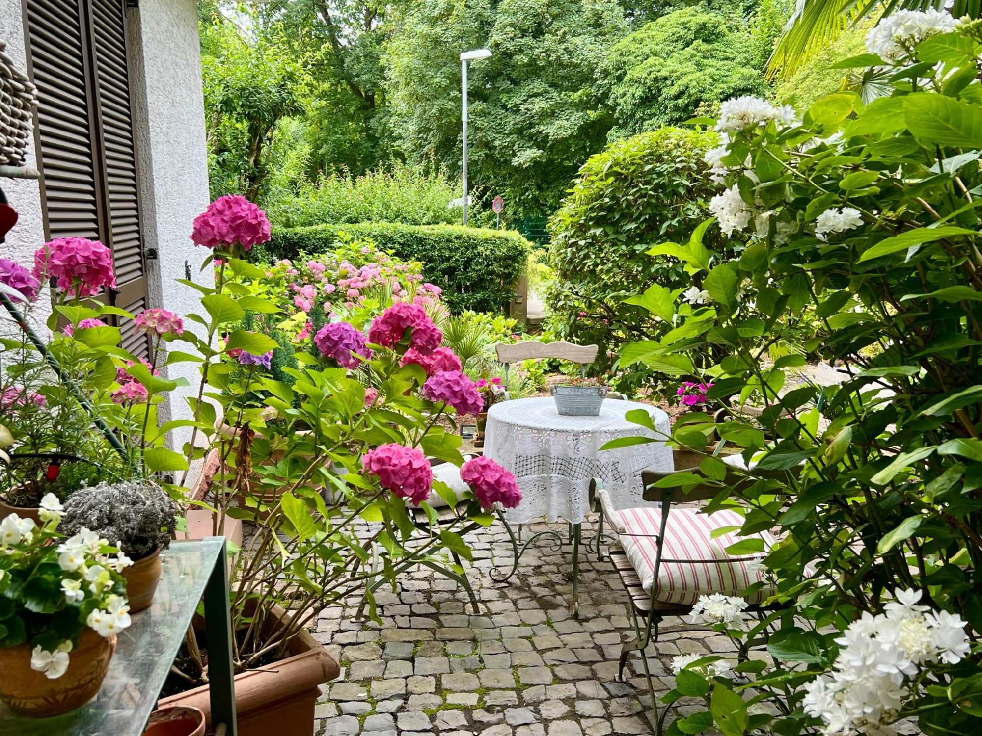 Einliegerwohnung In Einer Muehle Vor Den Toren Frankfurts, Ideal Fuer Messegaeste Oder Stop Over Dreieich Luaran gambar