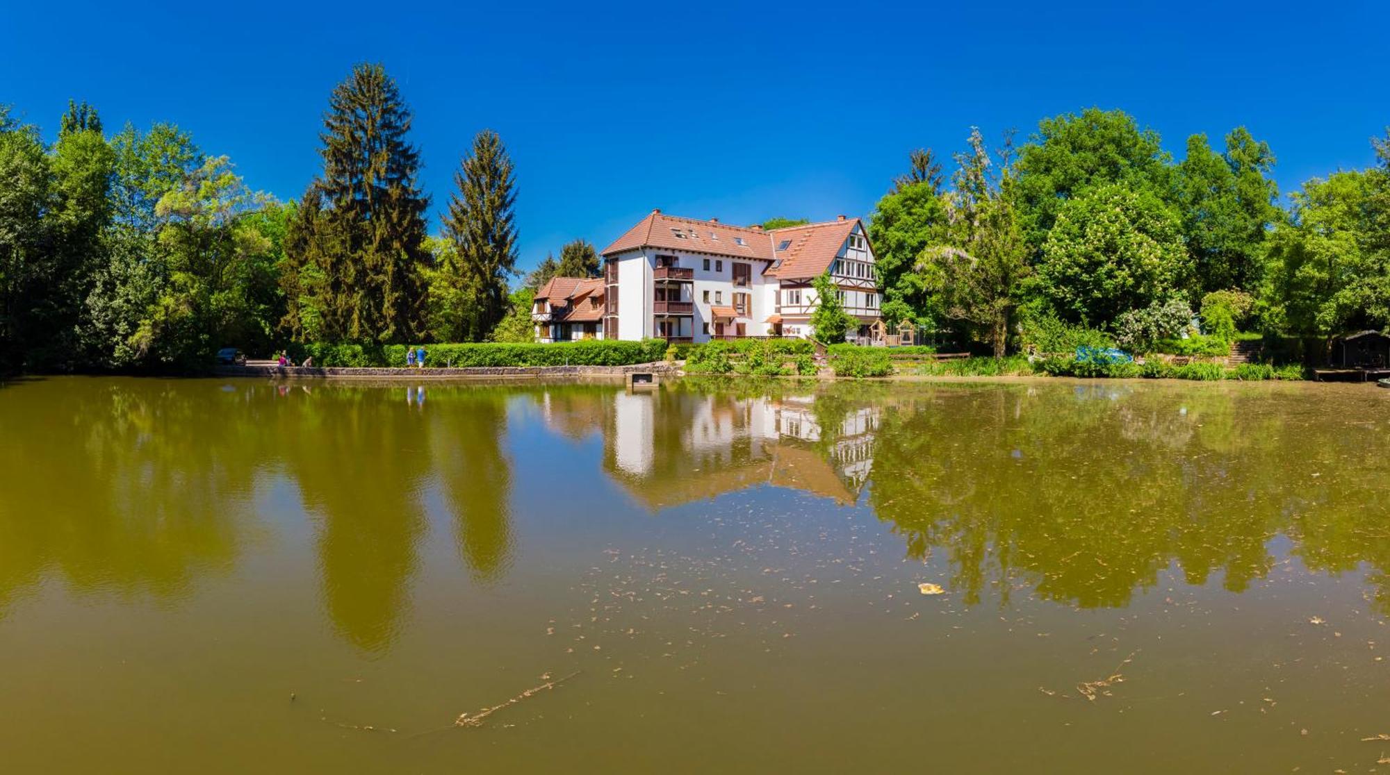 Einliegerwohnung In Einer Muehle Vor Den Toren Frankfurts, Ideal Fuer Messegaeste Oder Stop Over Dreieich Luaran gambar