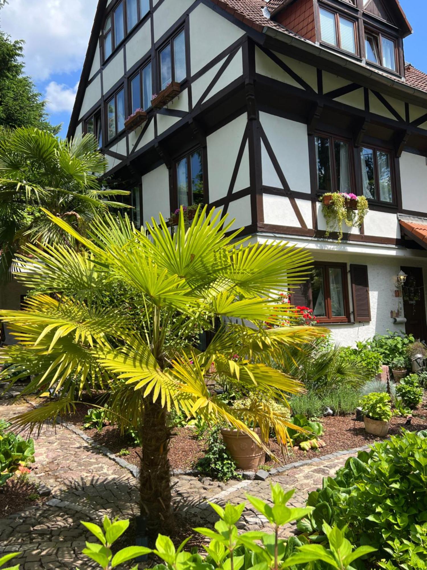 Einliegerwohnung In Einer Muehle Vor Den Toren Frankfurts, Ideal Fuer Messegaeste Oder Stop Over Dreieich Luaran gambar
